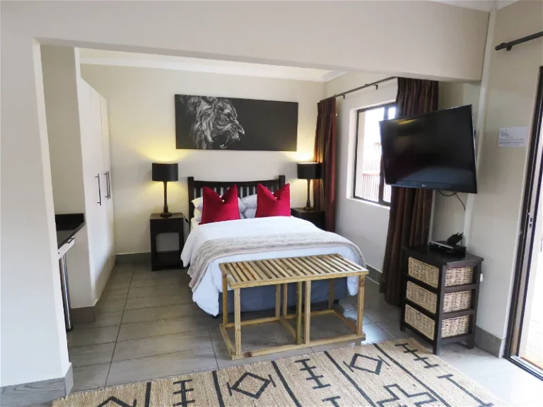 3 Day Wild Dog Guest Safari in Kruger National Park